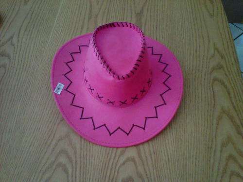 Cowboy Hat stetsonson style cowgirl hat pink