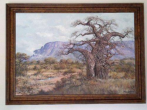 Francois Badenhorst.