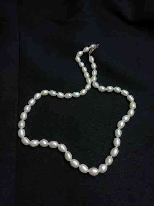 Genuine Water Pearls