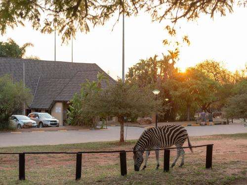 Dikhololo 18-22 January 2021 the 6 sleeper unit(4 adults and 2 kids under 12)