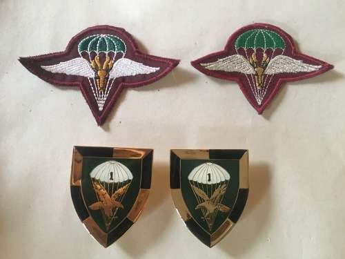 1 Parachute Battalion flash