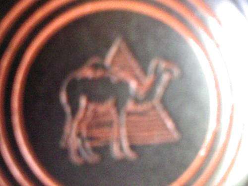 Orange Camel motive on bowling ball