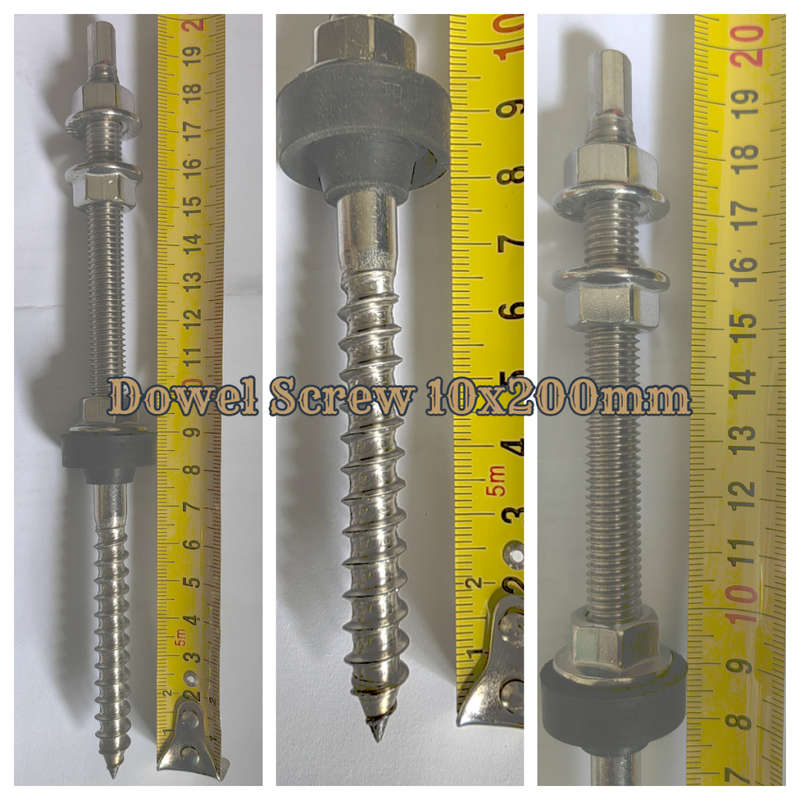 Hanger Bolts solar Screw 10 x 200mm