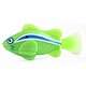 Robo fish - great fun in the water