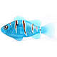 Robo fish - great fun in the water