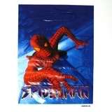 spiderman KIDS PARTY loot bags / party packs (10)