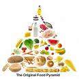 1000 Atkins Diet recipies e-book