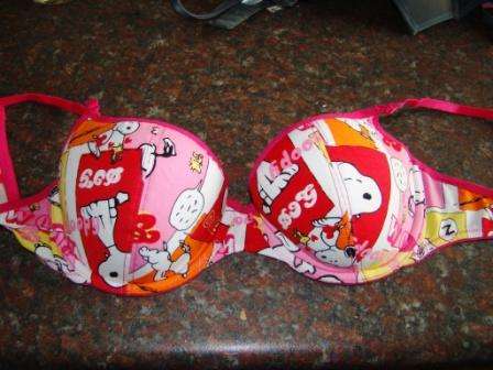 34B Snoopy Bra (La Senza Stock)