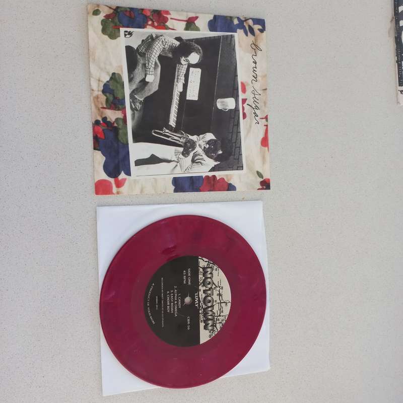 Brown Sugar -Luvly 7` Garage Hardcore Punk Dead Kennedys