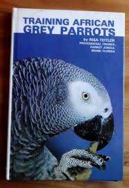 training african grey parrots by risa teitler