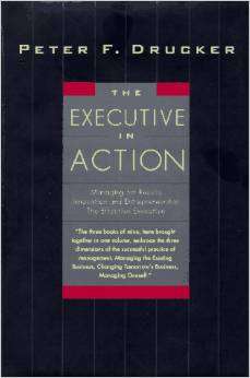 The Executive in Action : Managing for Resurship, the Effective Execuults, Innovation