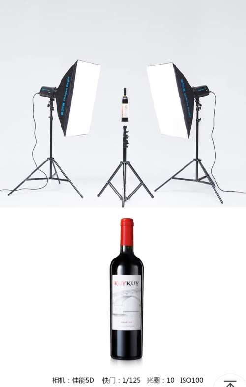 300W PHOTO STUDIO FLASH LIGHT