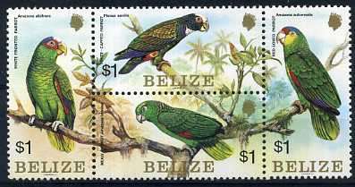Belize, 1984, Sc739(block of 4 a-d), MNH, Bird Stamps