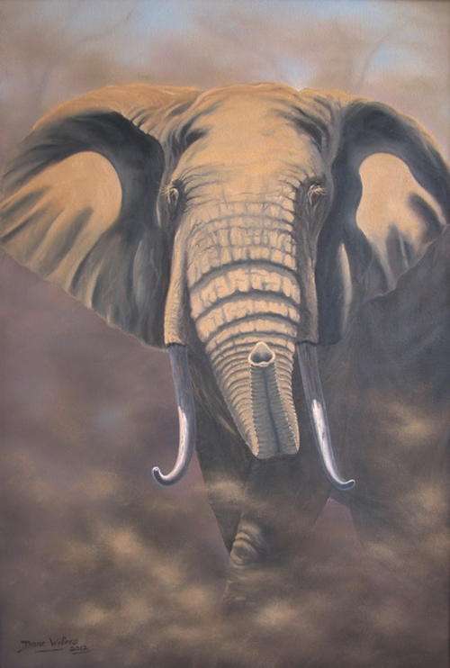 DANE WILLERS Original Oil: Elephant Bull