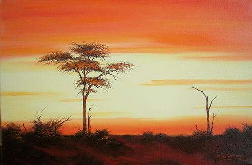 DANE WILLERS Original Oil: African Sunset