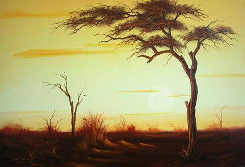 Thorntree at Sunset by DANE WILLERS. OIL.