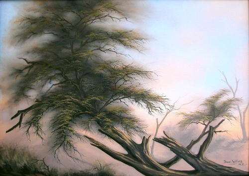 DANE WILLERS Original OIl: Fallen Tree at exceptional low starting price !