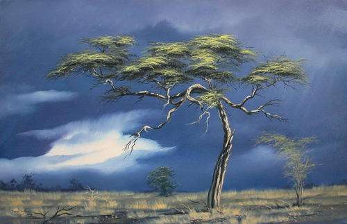 DANE WILLERS Original Oil: Storm Brewing. Gallery Retail: R12500.00