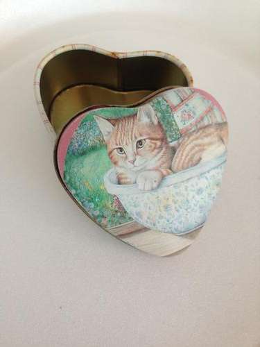 Heart shaped cat in basin tin