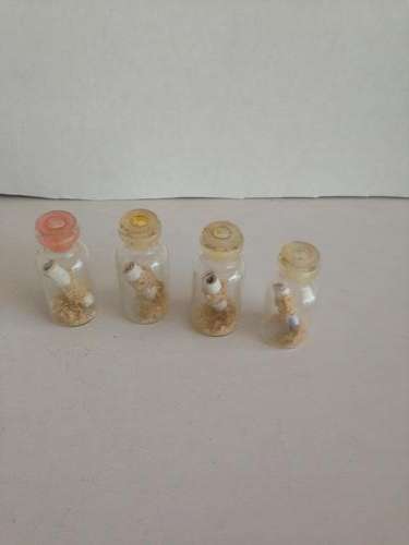 Assortment of mini bottles with secret messages