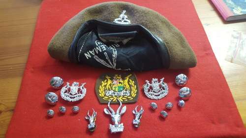 SOUTH AFRICAN ARMY BERET AND ASSORTED BADGES