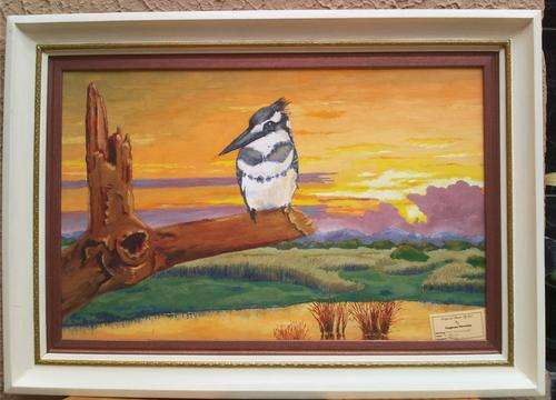 "Pied king fisher" Original painting by Eugeen perrins