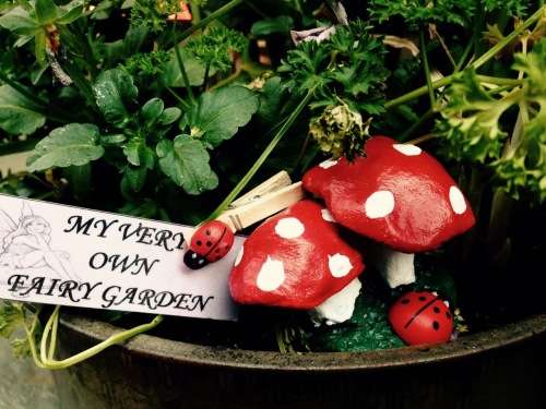 miniture double mushrooms for fairy garden