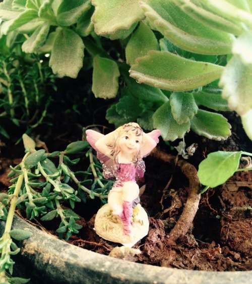 Miniture fairy