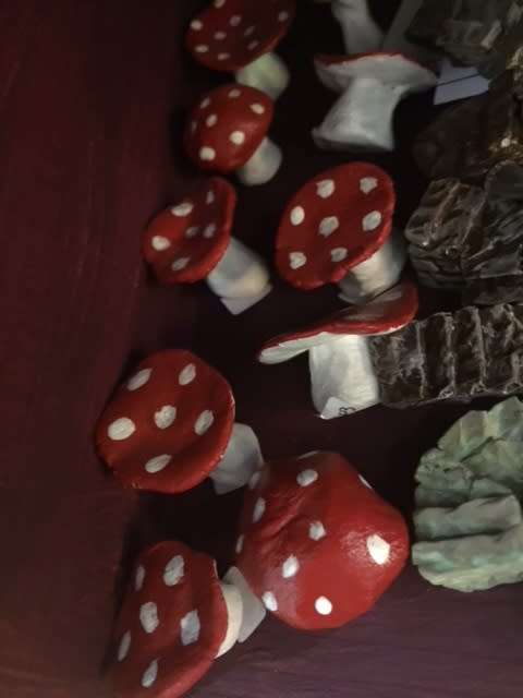 fairy garden mushrooms singles