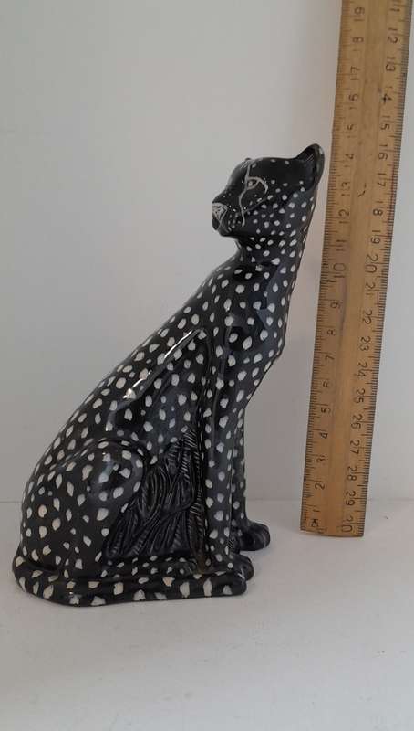 Black Cheetah