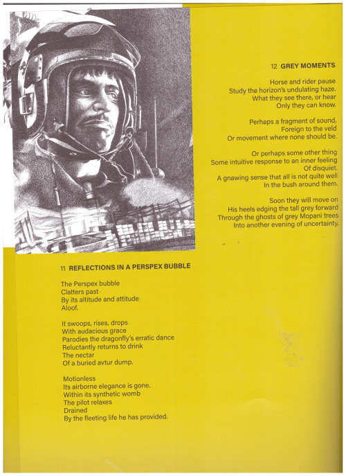 A WAR ARTIST`S DIARY