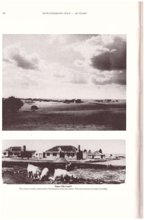 WITWATERSRAND GOLD, 100 YEARS *LIMITED COPIES*