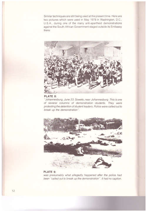 THE VICTIMS