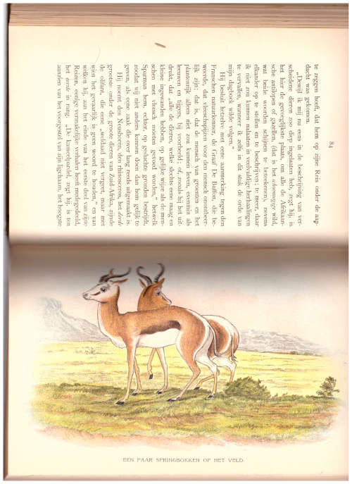 DE KAAP ALS EEN NIEUW LAND, 1 ST ED, 1898