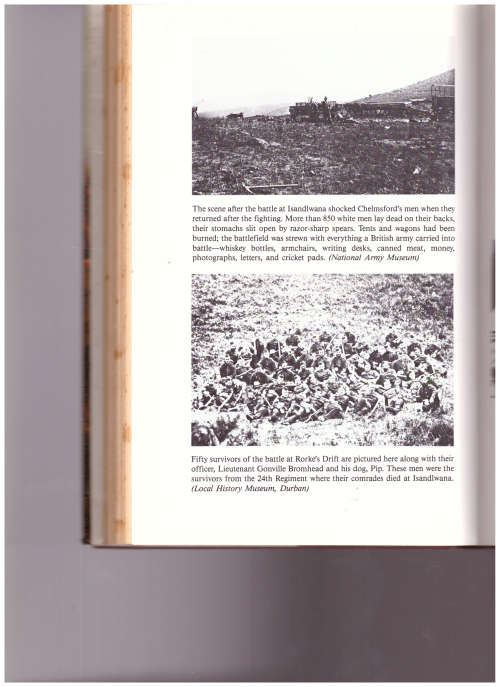 LIKE LIONS THEY FOUGHT: THE ZULU WAR AND THE LAST BLACK EMPIRE IN SOUTH AFRICA