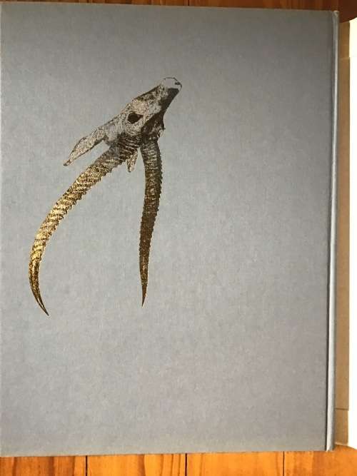 PORTRAITS OF THE GAME AND WILD ANIMALS OF SOUTHERN AFRICA by CAPT. W. CORNWALLIS HARRIS