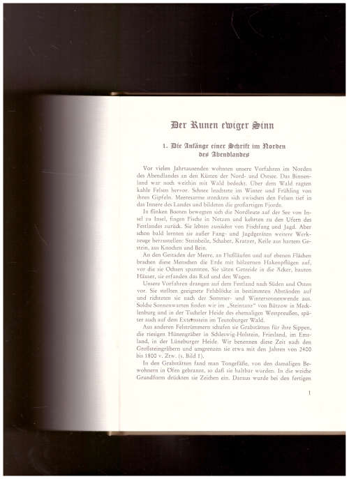 DER RUNEN EWIGER SINN