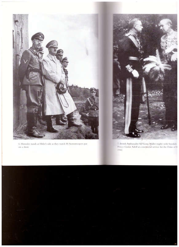 SS-1, THE UNLIKELY DEATH OF HEINRICH HIMMLER