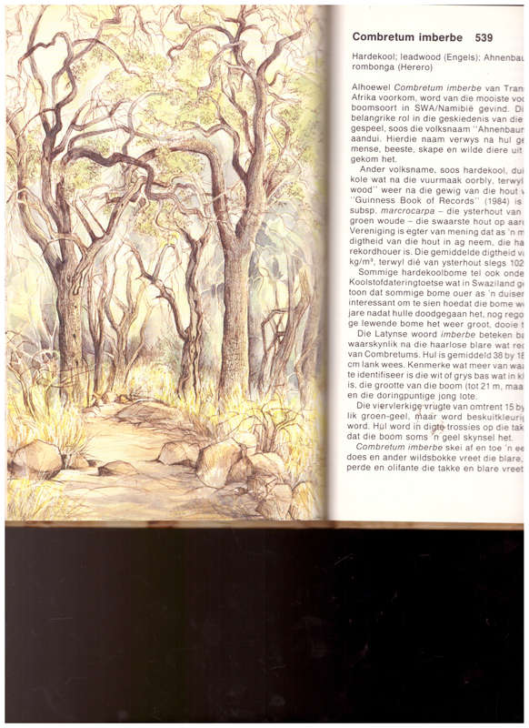 WATERBERG FLORA, WANDELPAAIE IN EN OM DIE KAMP