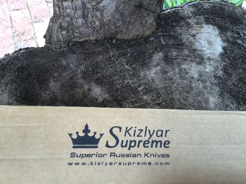 KIZLYAR SUPREME RUSSIAN TACTICAL KNIFE MODEL: COLADA WALNUT HANDLE BOHLER K340