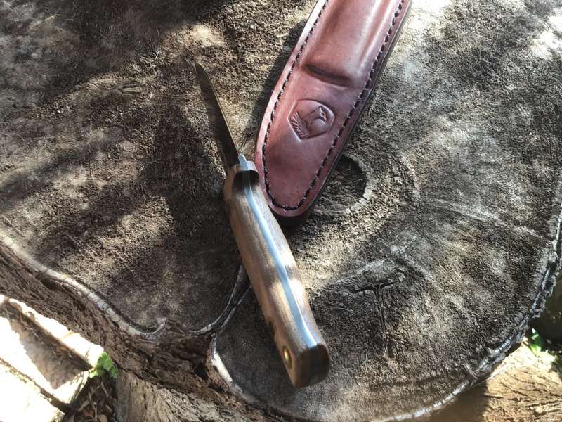 CONDOR MAYFLOWER KNIFE 3-4, WOOD HANDLE STAINLESS STEEL BLADE 440C