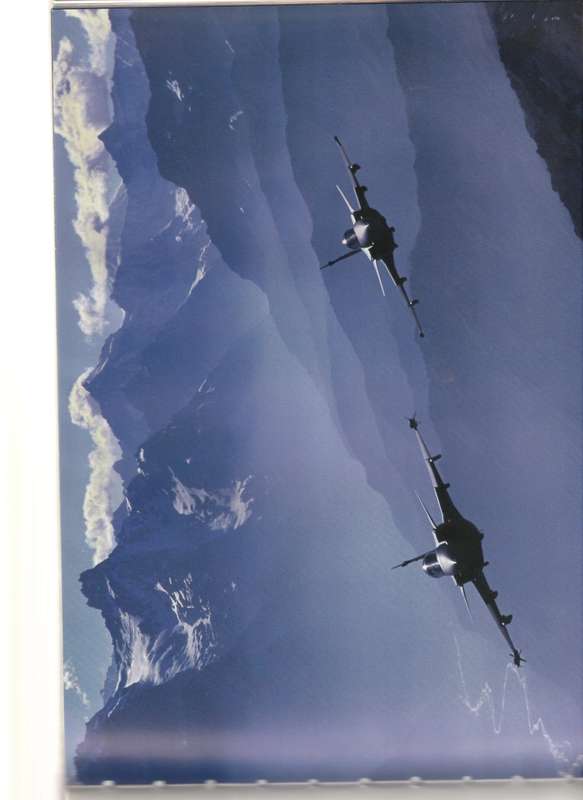 THE GRIPEN WING 2000