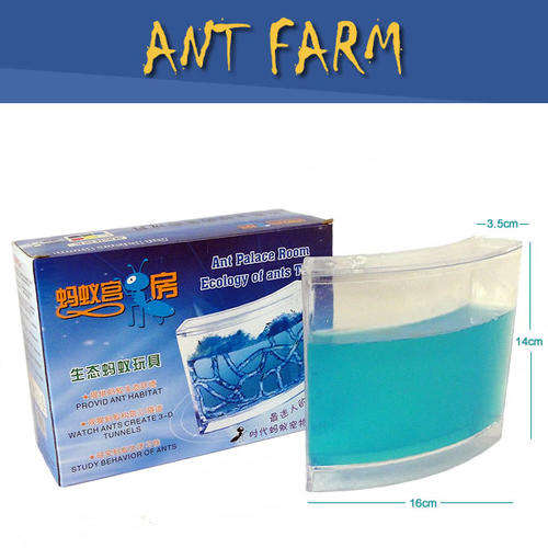 Ant Farm