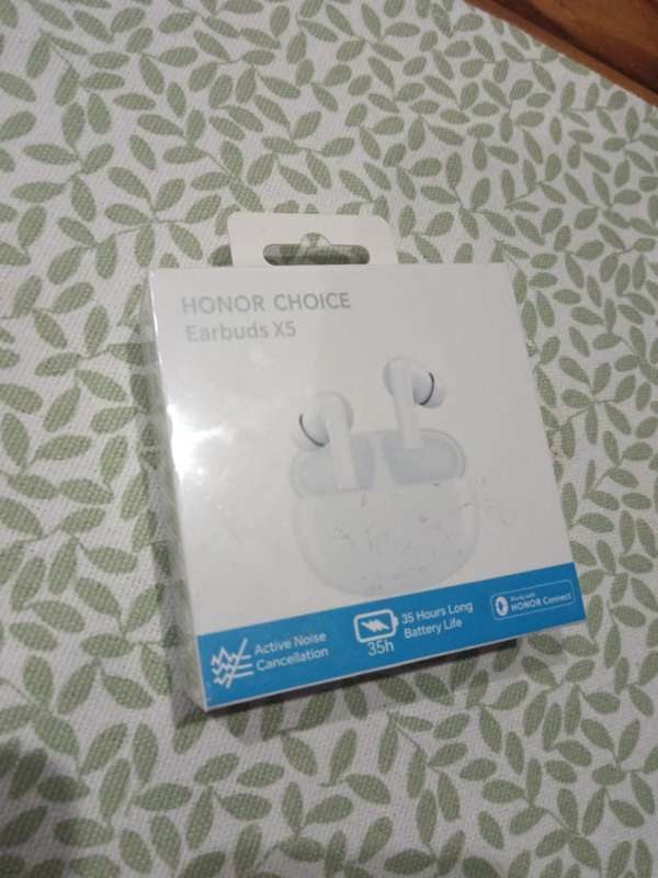 Honor Choice Earbuds X5