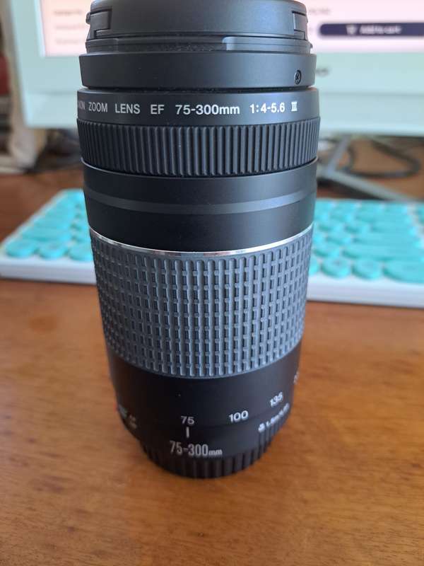 Canon zoom lens EF 75-300 mm 1:4-5.6 III