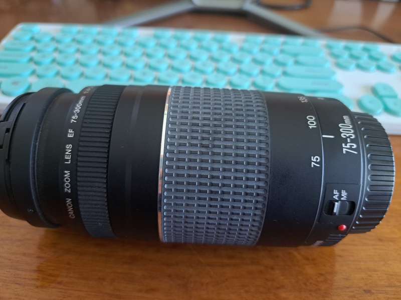 Canon zoom lens EF 75-300 mm 1:4-5.6 III