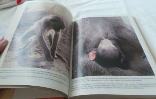 The Soul of the Ape / The soul of the White Ant (Eugene Marais)