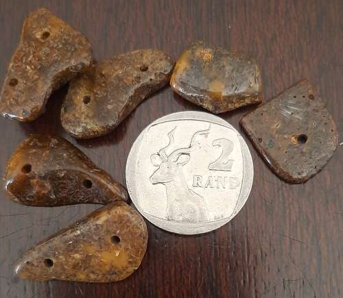 Baltic Amber Assortment