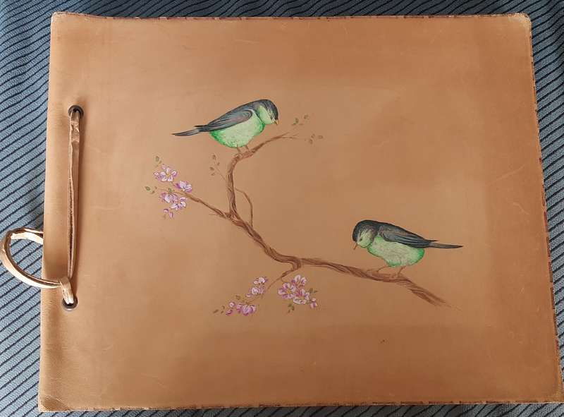 Large Leather bound Old style photo album