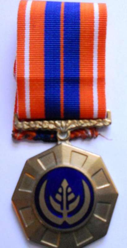 Pro Patria --- Full size with ribbon